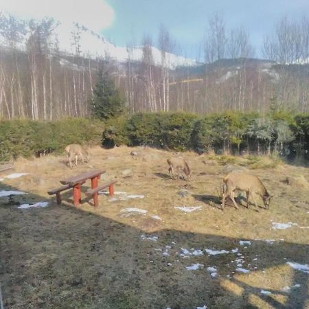 Villa Ester Tátralomnic Kültér fotó