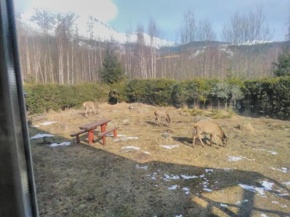 Villa Ester Tátralomnic Kültér fotó